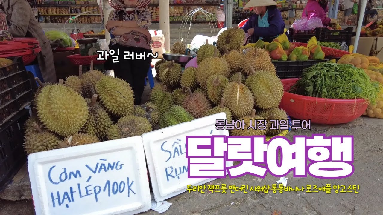 베트남 달랏 동남아 과일 시장 둘러보기 두리안, 잭프룻 먹고 케이블카 타고 죽림서원까지 [5]
