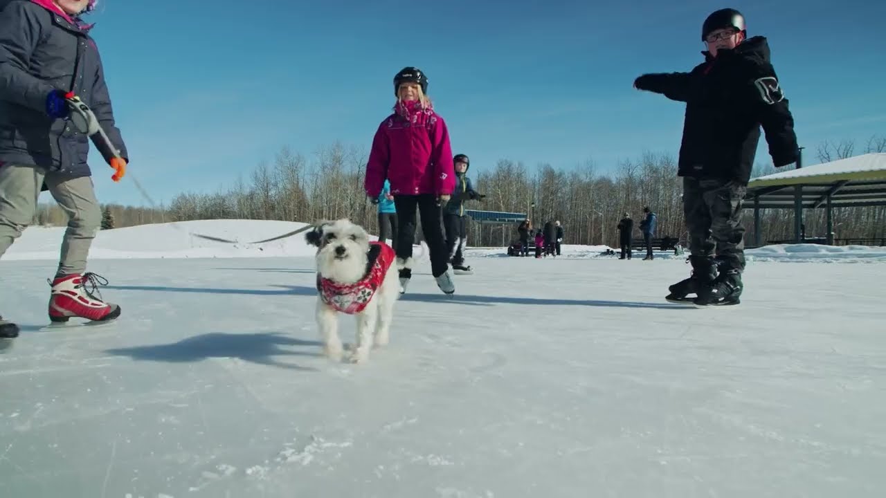 Town of Innisfail, Alberta - A Great Place to Stay