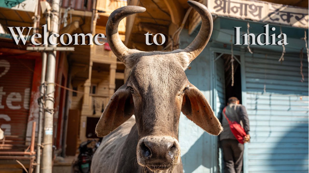 Delhi, Jaisalmer e il Grande Deserto - Viaggio in Treno tra Rajasthan e Uttar Pradesh - Ep. 1