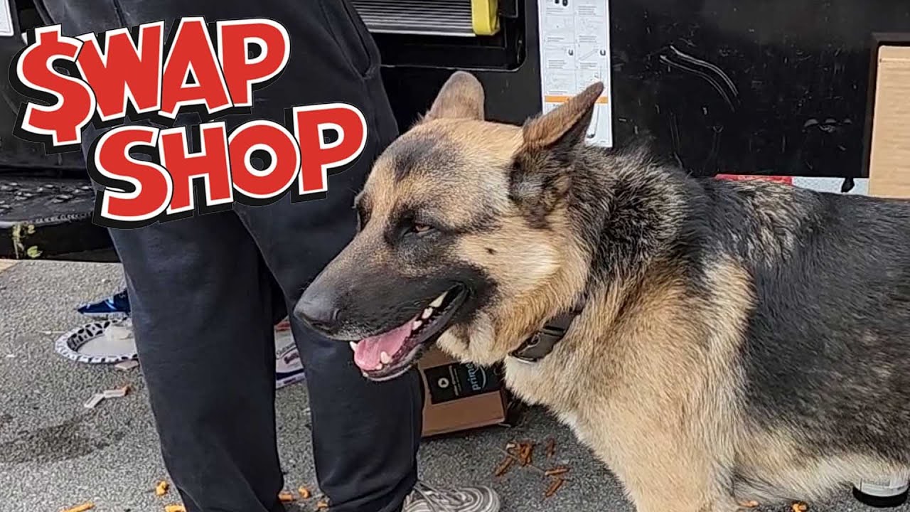 Surviving A Sad Day At The Swap Shop