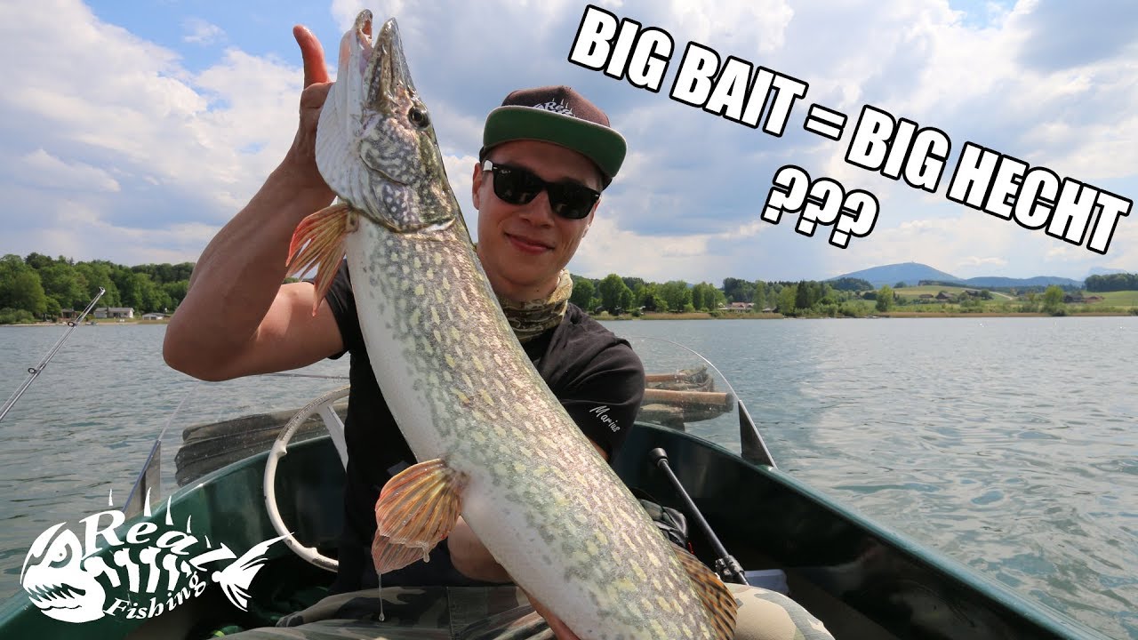 Mit Bigbaits auf Hecht // Angeln am Wallersee