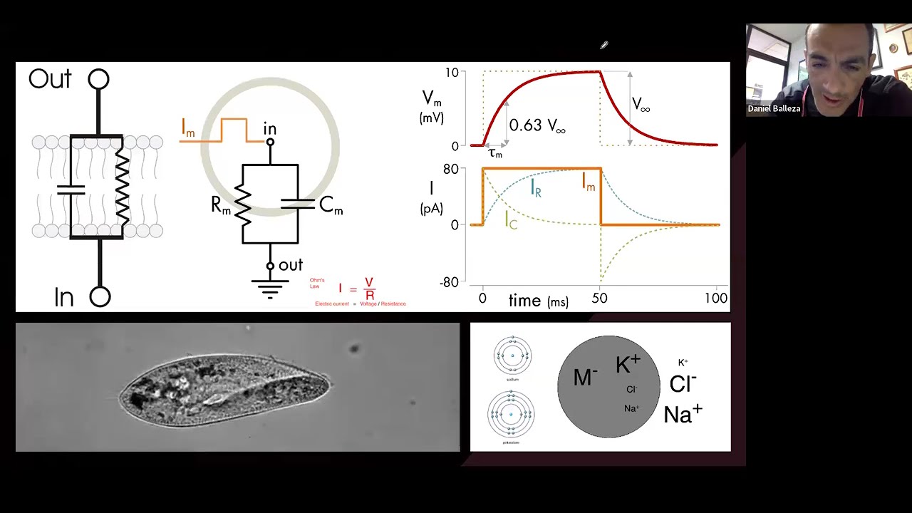D Balleza Mejía: La evolución de la vida desde una perspectiva biofísica