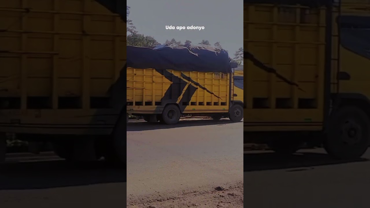 #canterhdx #drivermuda #shortvideo #pagi #medanaceh