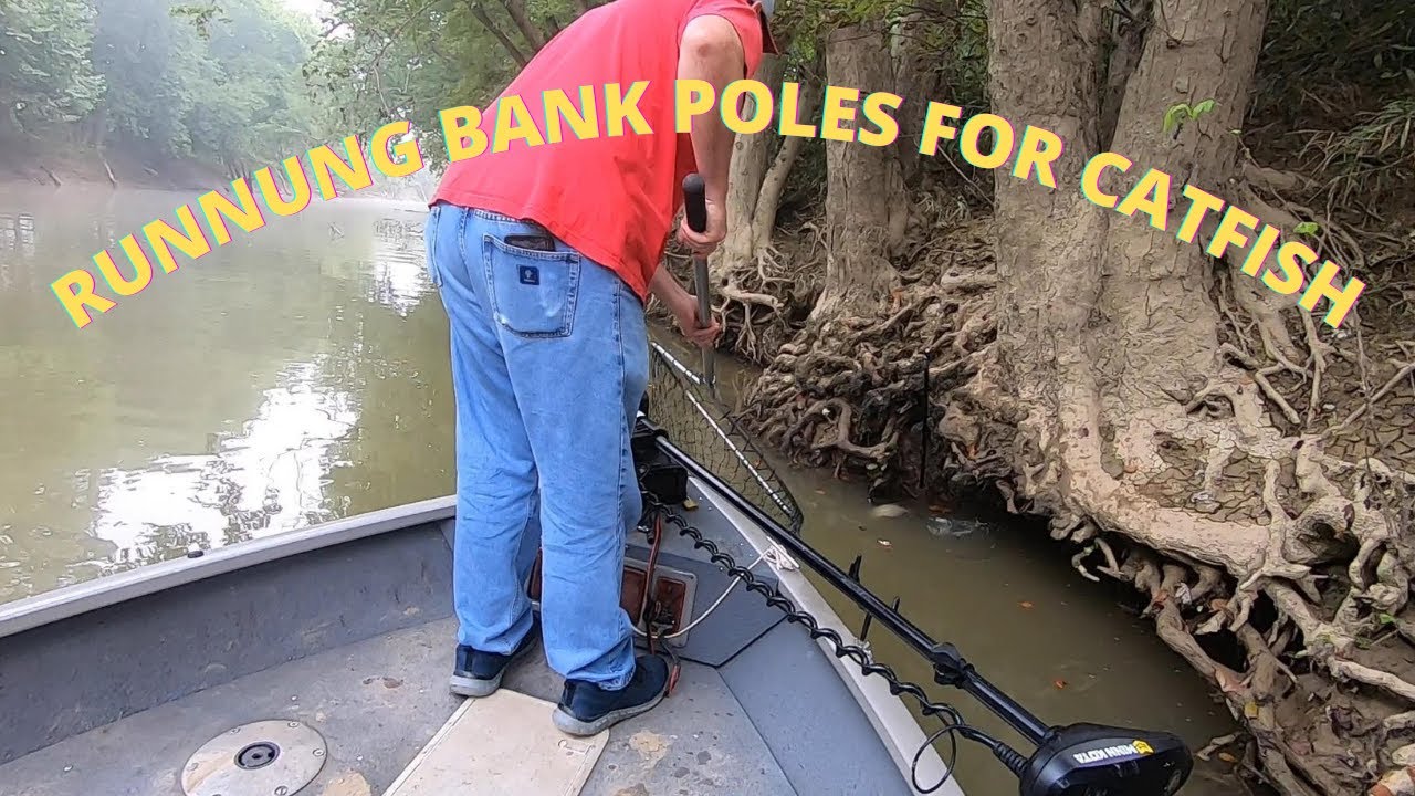 RUNNING BANK POLES FOR EATER SIZED CATFISH