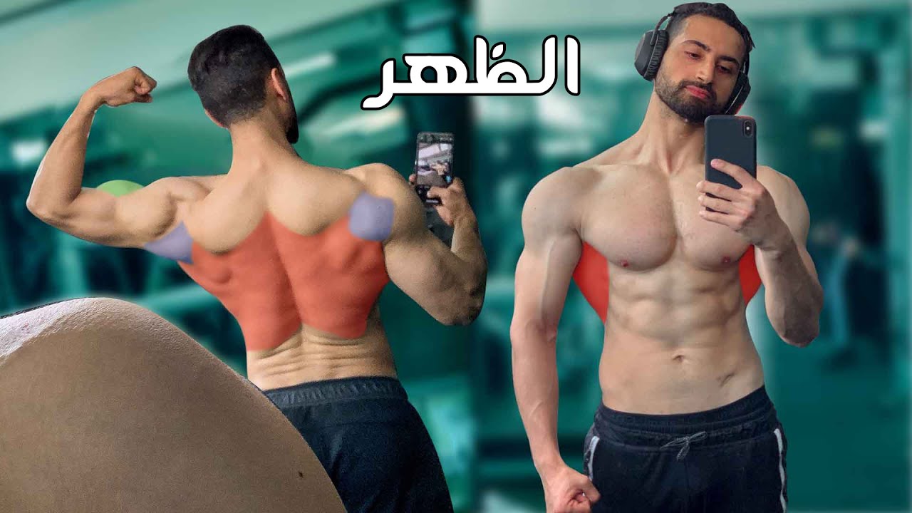 أحسن تمارين لتضخيم الظهر 🔥🔥
