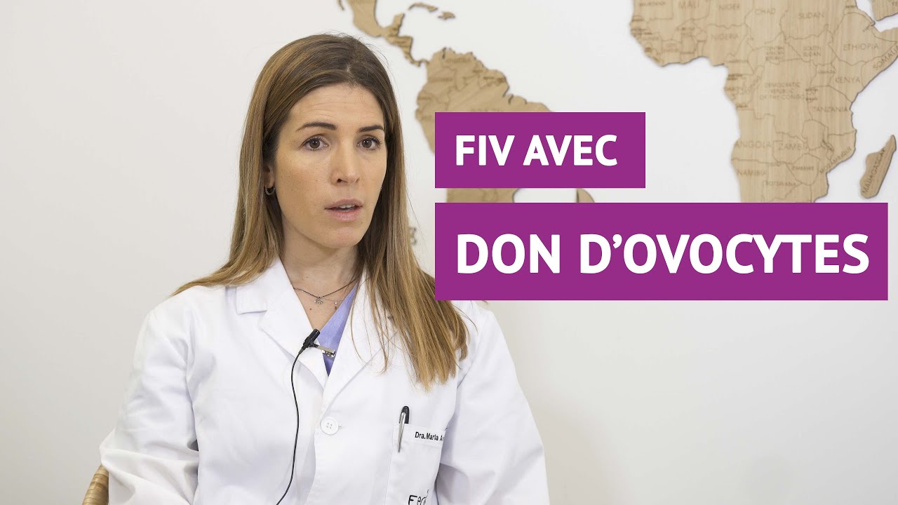 FIV avec don d’ovocytes
