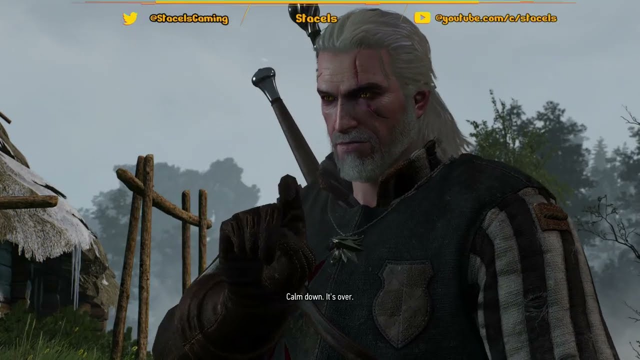 Stacels Gaming | The Witcher 3 | Next Gen Update Playthrough!