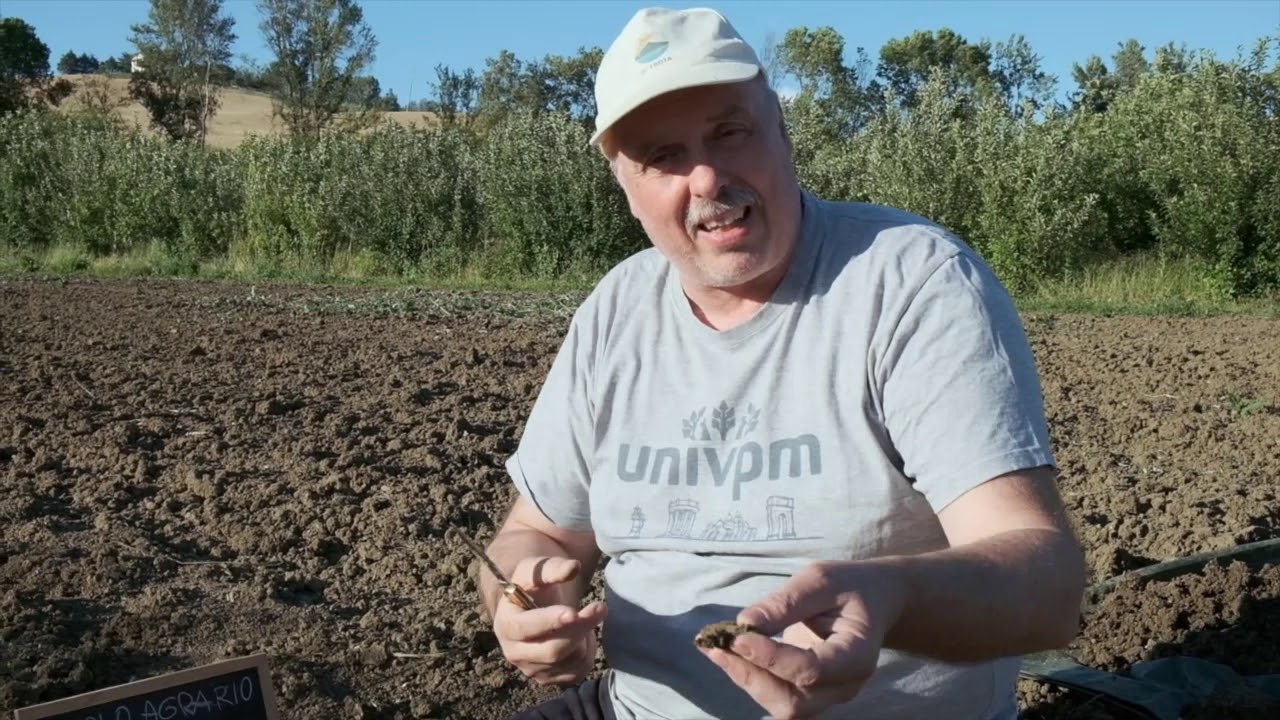 Figure pedologiche di interesse agrario 4