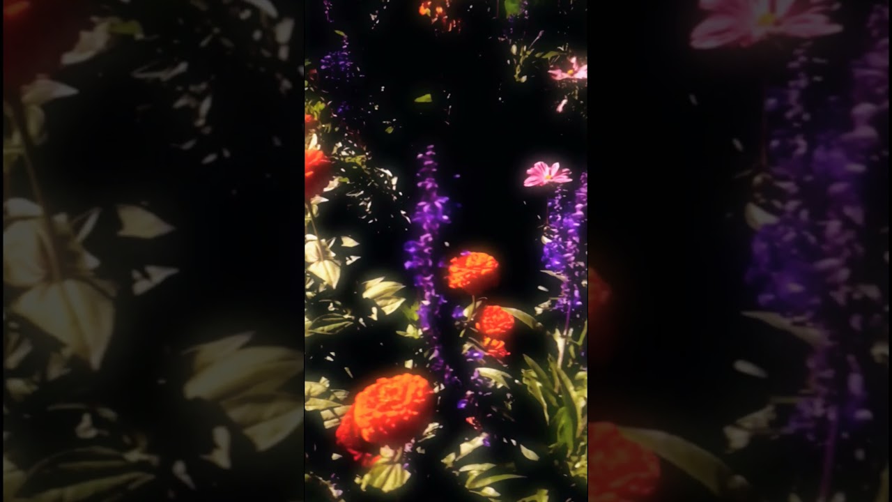 Who blooms for the moon? 