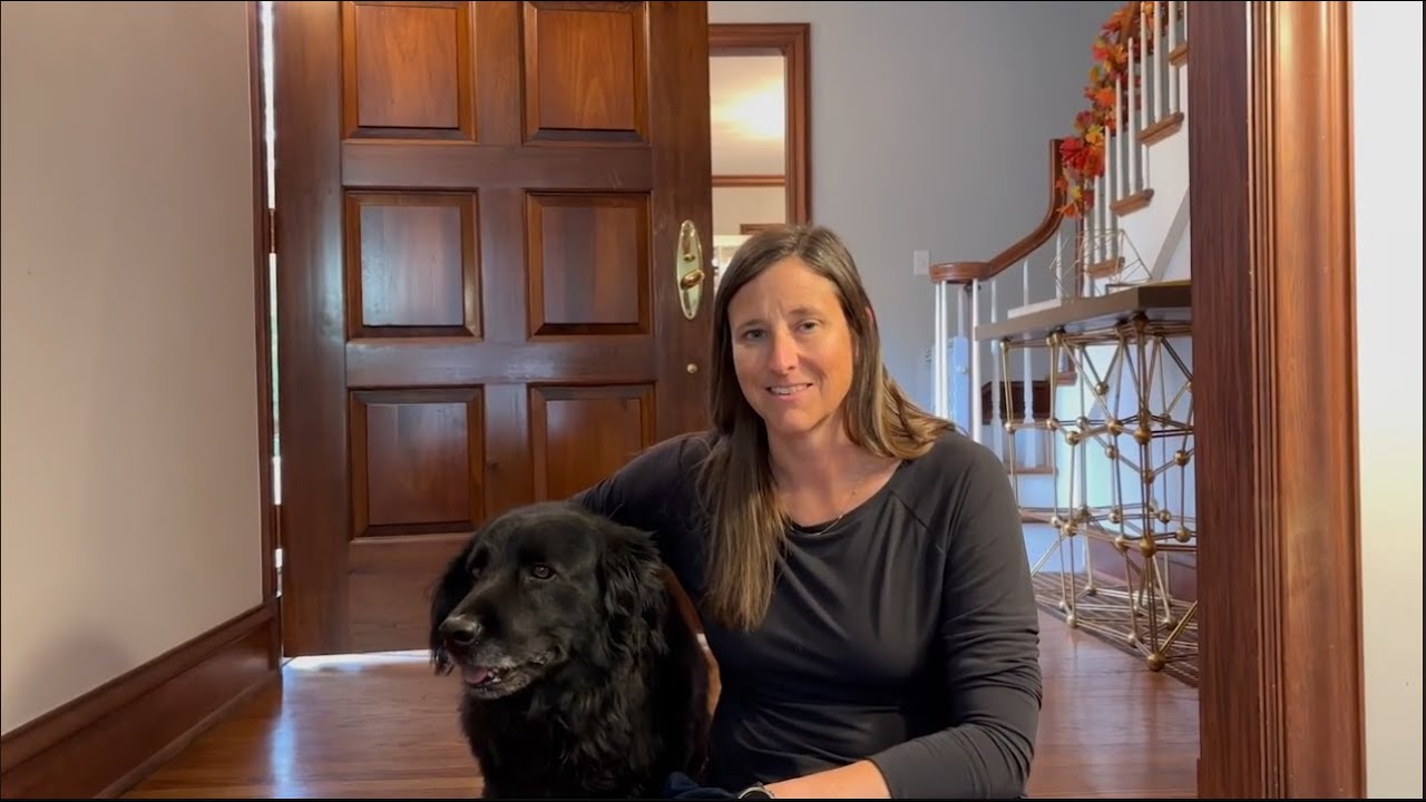 Ogden Utah Dog Training | Salt Lake City Dog Training | &ldquo;This program is great for all dogs
