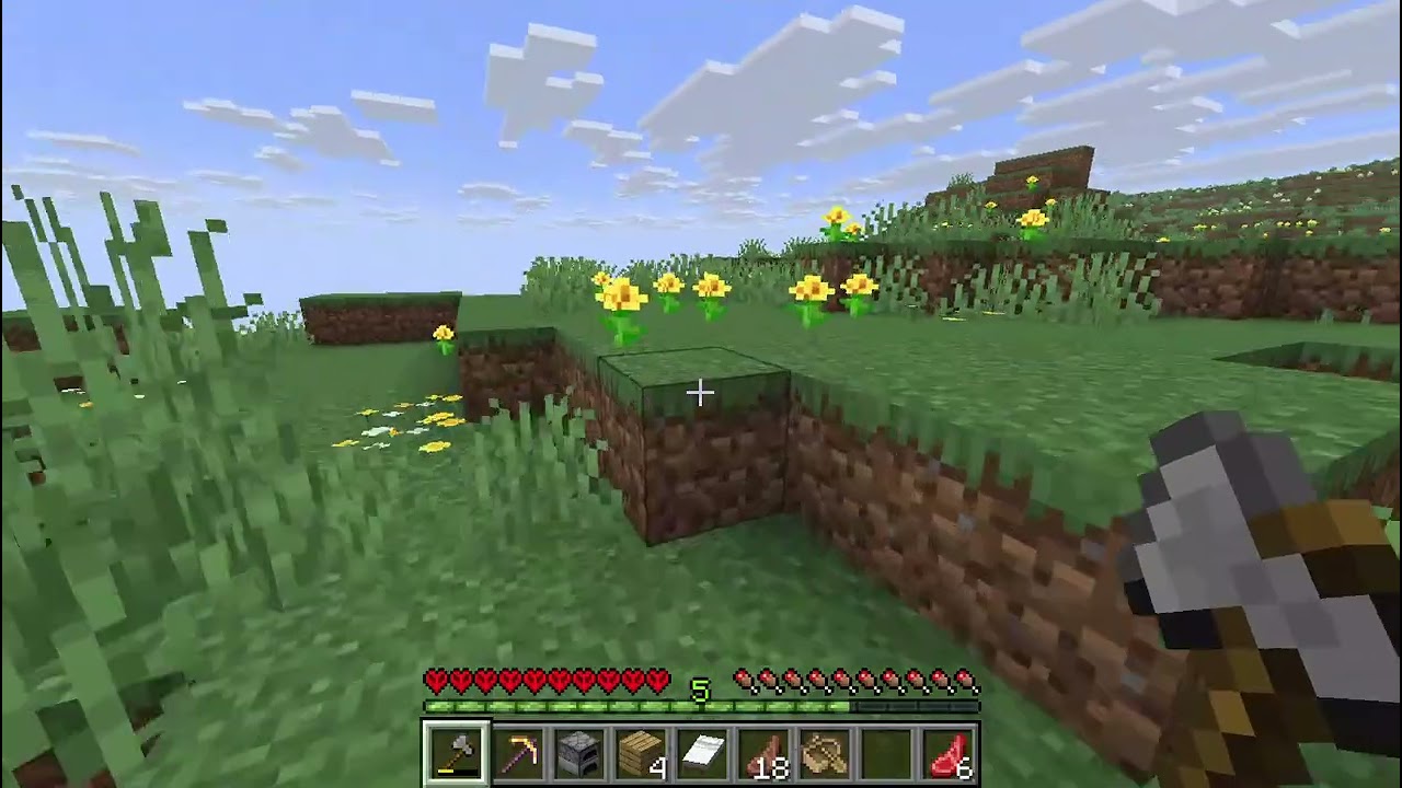 Minecraft