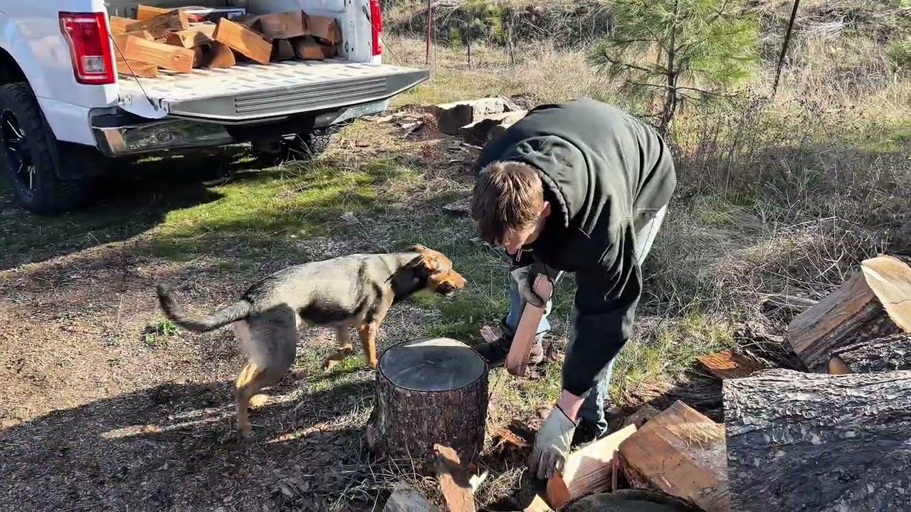 Wood delivery 