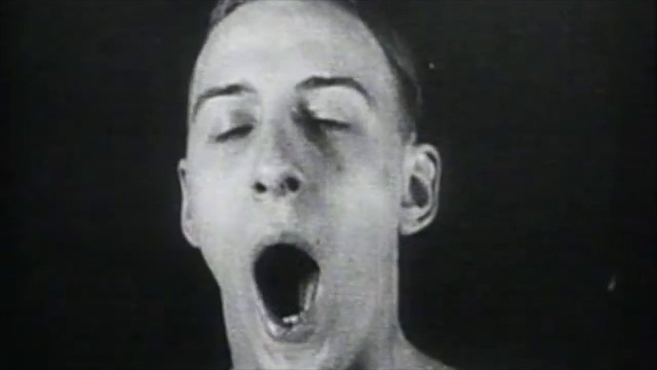 The Spectors - Logical Animals (Trisomie 21)