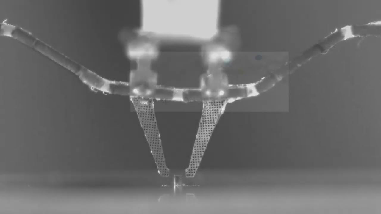 MiGriBot: The fastest pick and place robot in the world