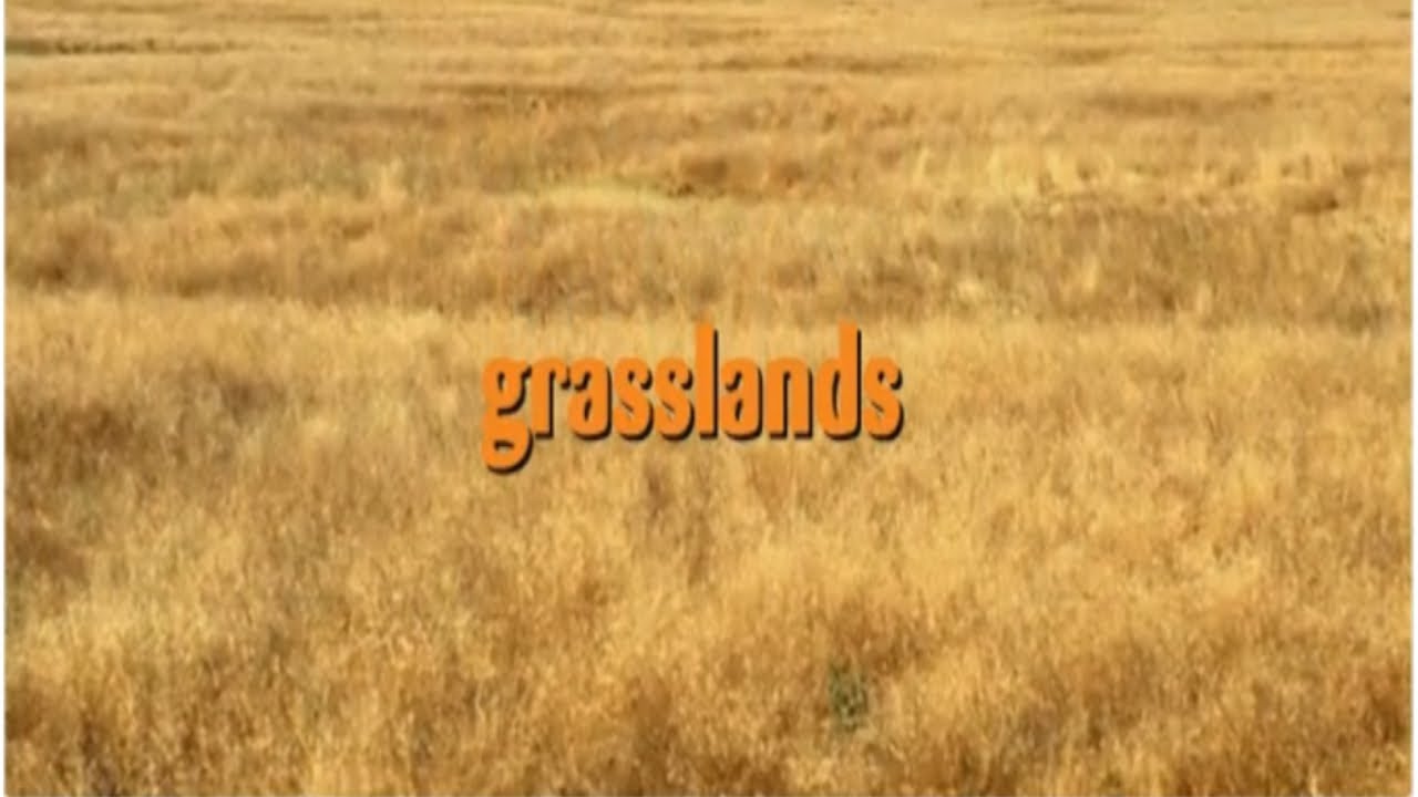 Eekoworld - The Grasslands