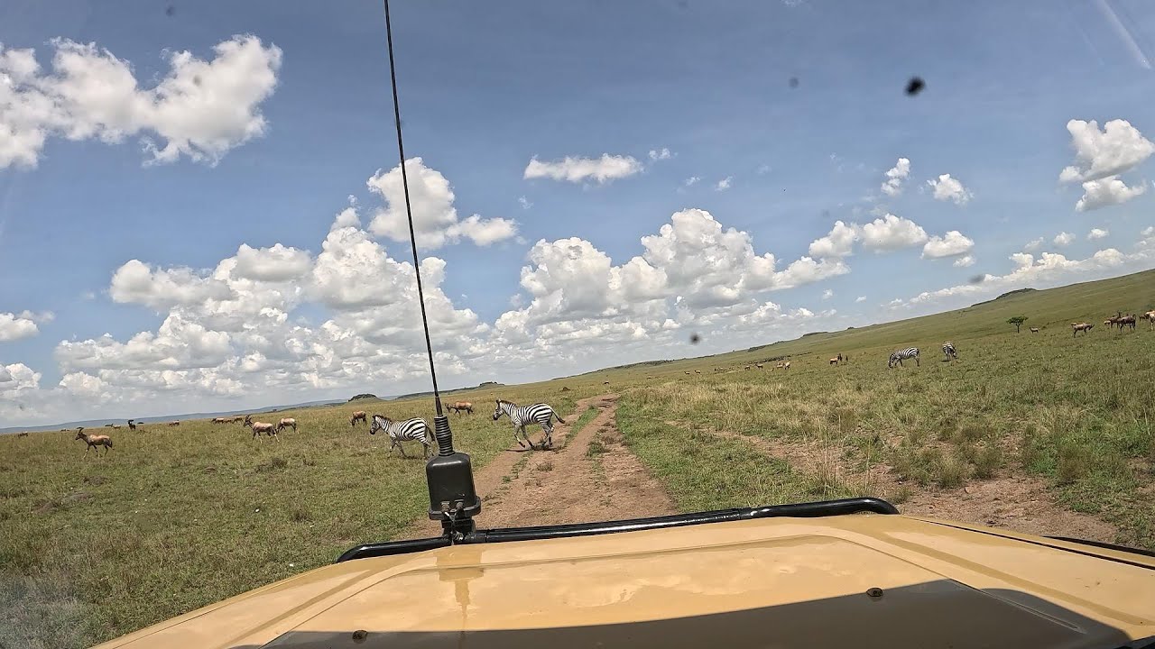 PART 2... THE UNCUT Maasai Mara SAFARI EXPEDITION @IShowSpeed @magicalkenyabrand 