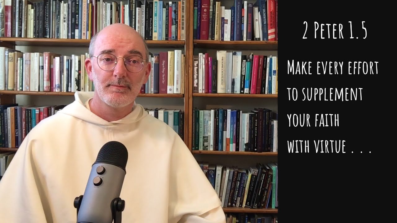 Introduction to Virtue (Michael Sherwin, OP)