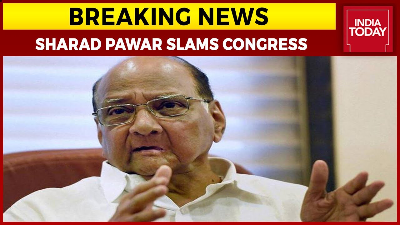 NCP Chief Sharad Pawar Slams Gandhis, Says Congress Like UP Zamindars Without Land | Breaking News