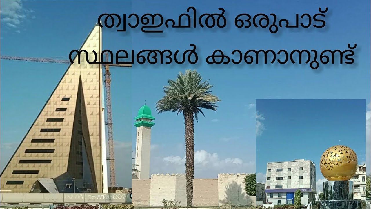 Taif is the place to visit if you come to soudi Arabia -SIMBLE work