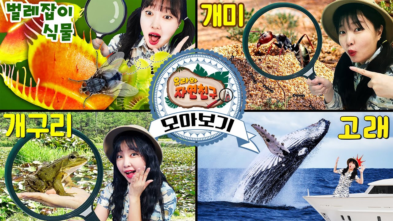 누구 누구 누구니~? 알쏭달쏭 신기한 자연친구 모아보기!! 벌레잡이식물 개미 개구리 고래