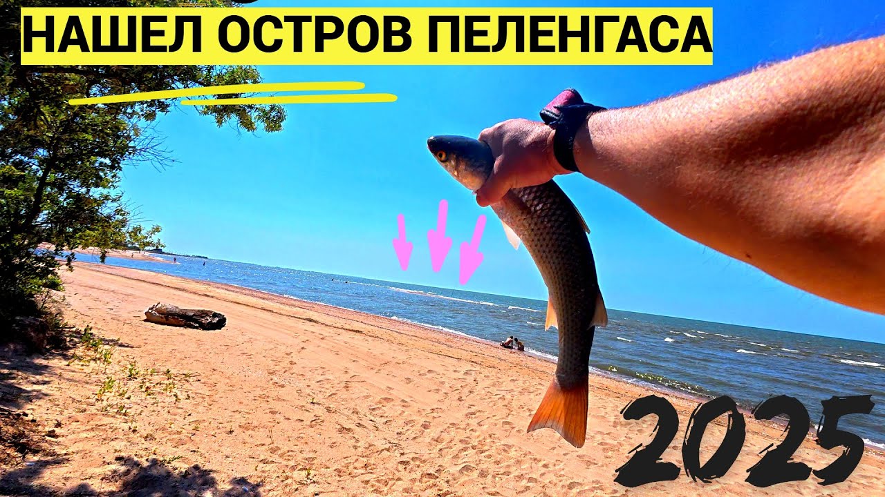 Рыбалка на Пеленгаса  Азовское  МОРЕ 2025
