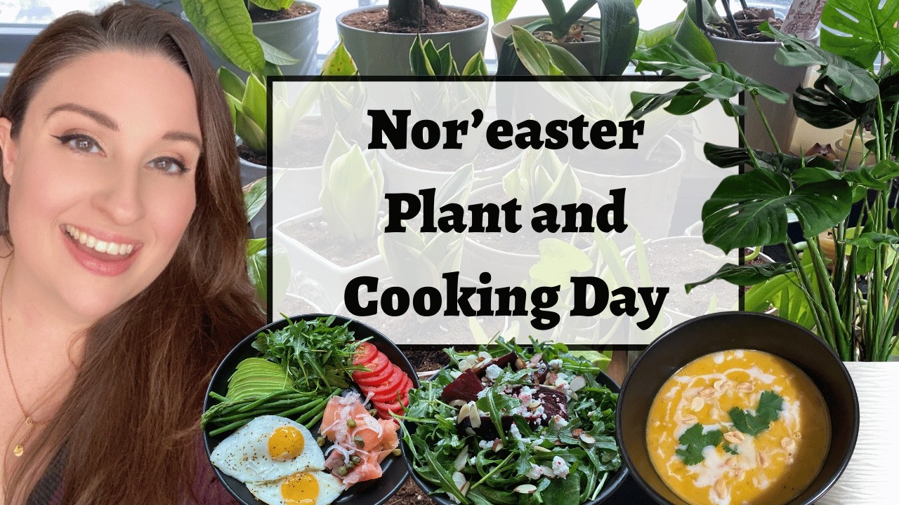 Nor&rsquo;easter Cozy Day at Home ❄️ Healthy Winter Recipes + Replanting