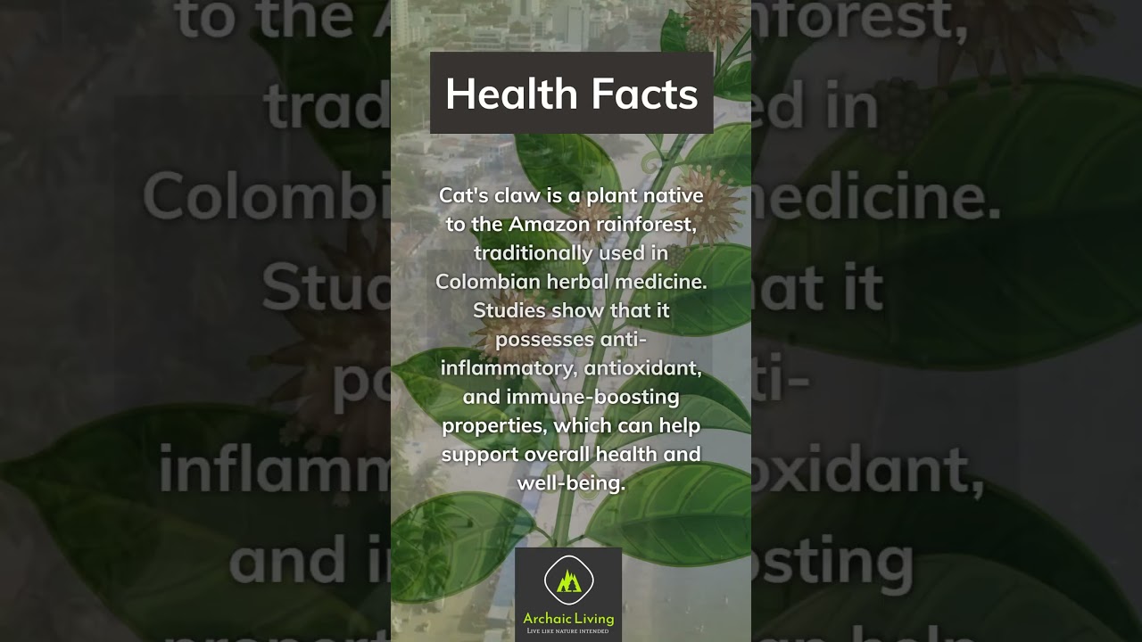 Archaic Living Health Facts: Cat's claw to boost the immune system 