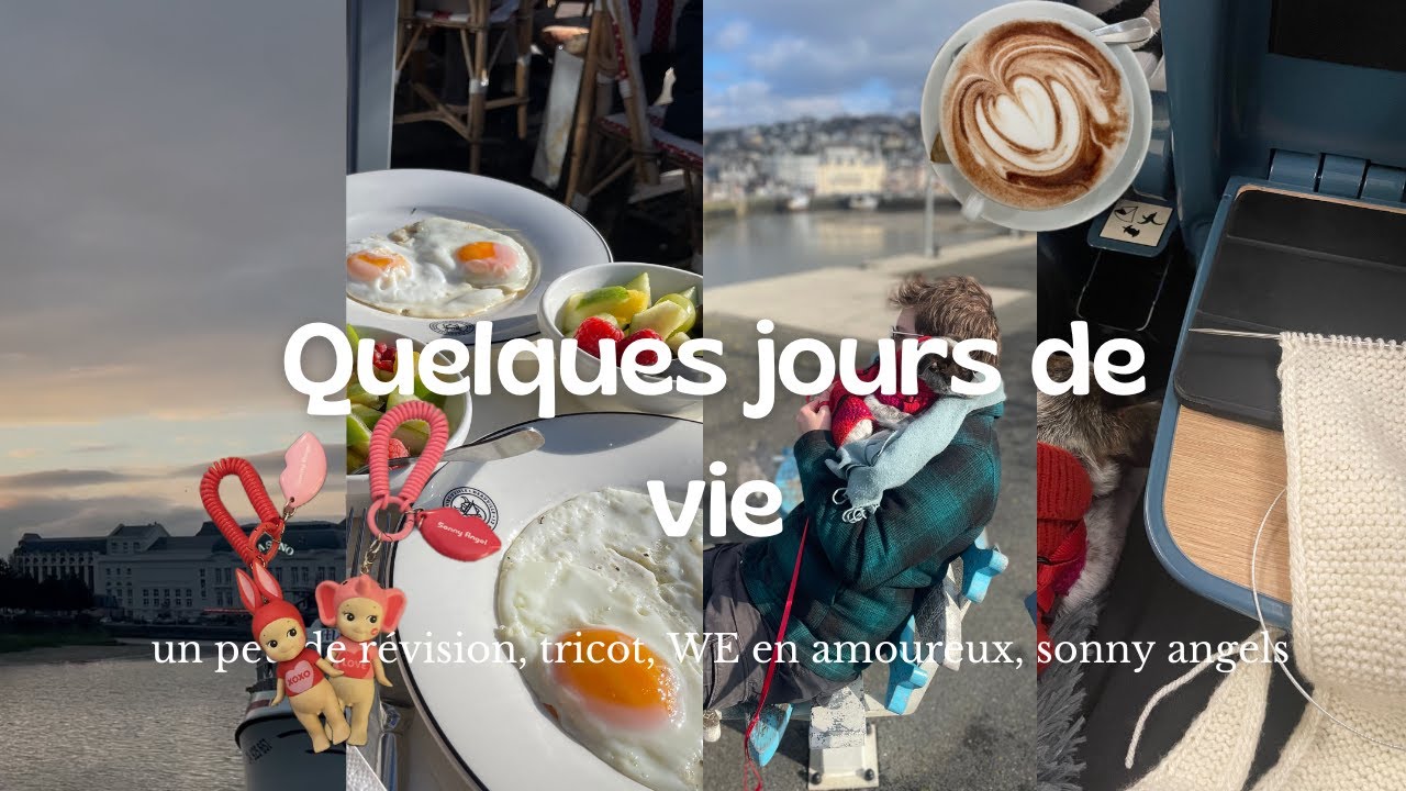 vlog | quelques jours de vie (tricot, WE en amoureux ,Sonny Angels, un peu de révisions...)
