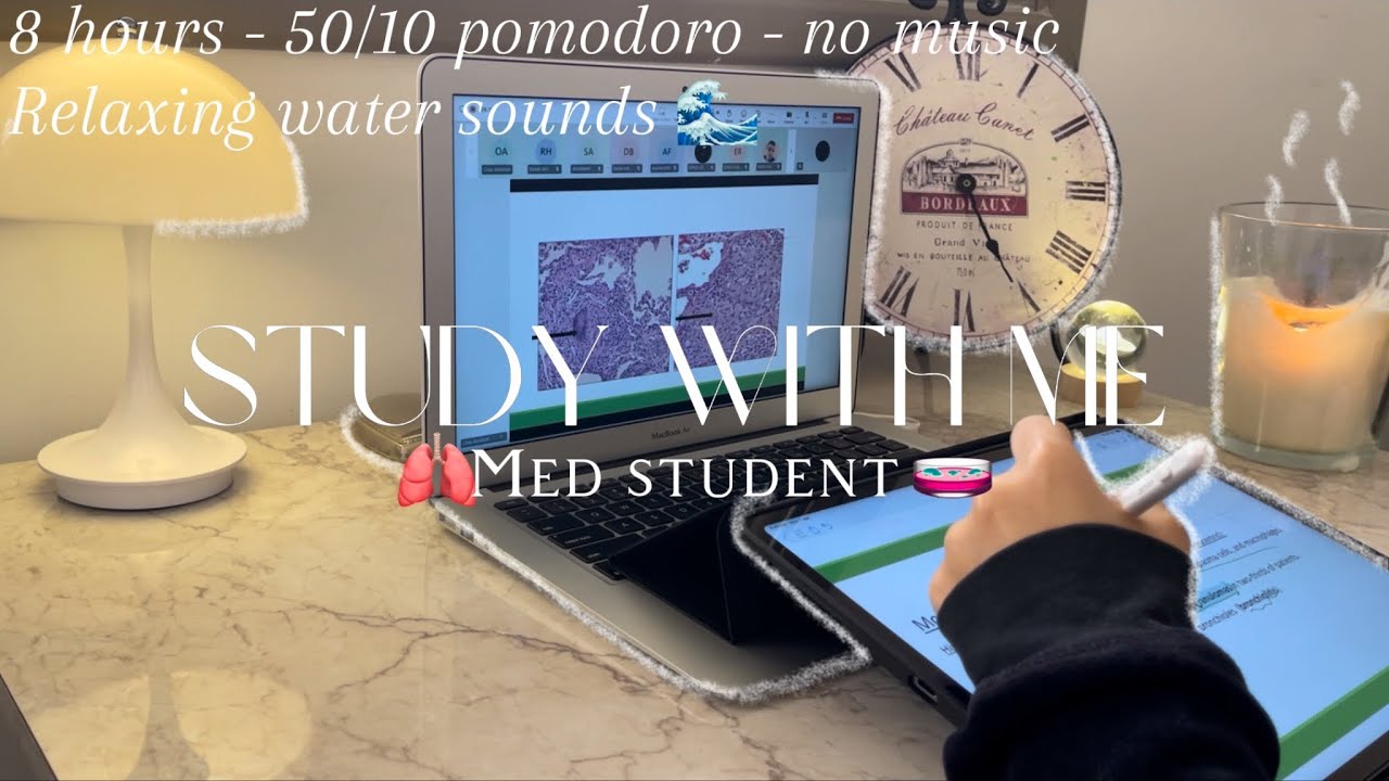 Study with me 8 hrs 🧫 | 50/10 pomodoro - med student - no music