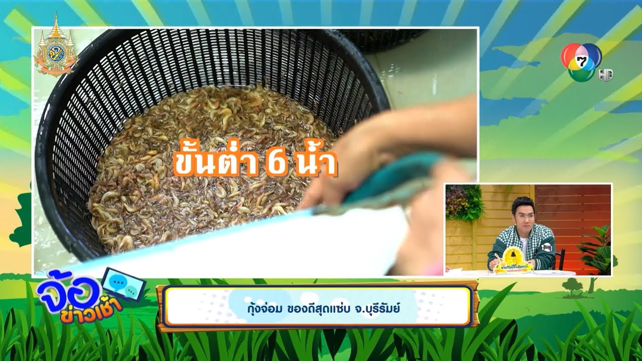 กุ้งจ่อม ของดีสุดแซ่บ จ.บุรีรัมย์ | จ้อข่าวเช้า