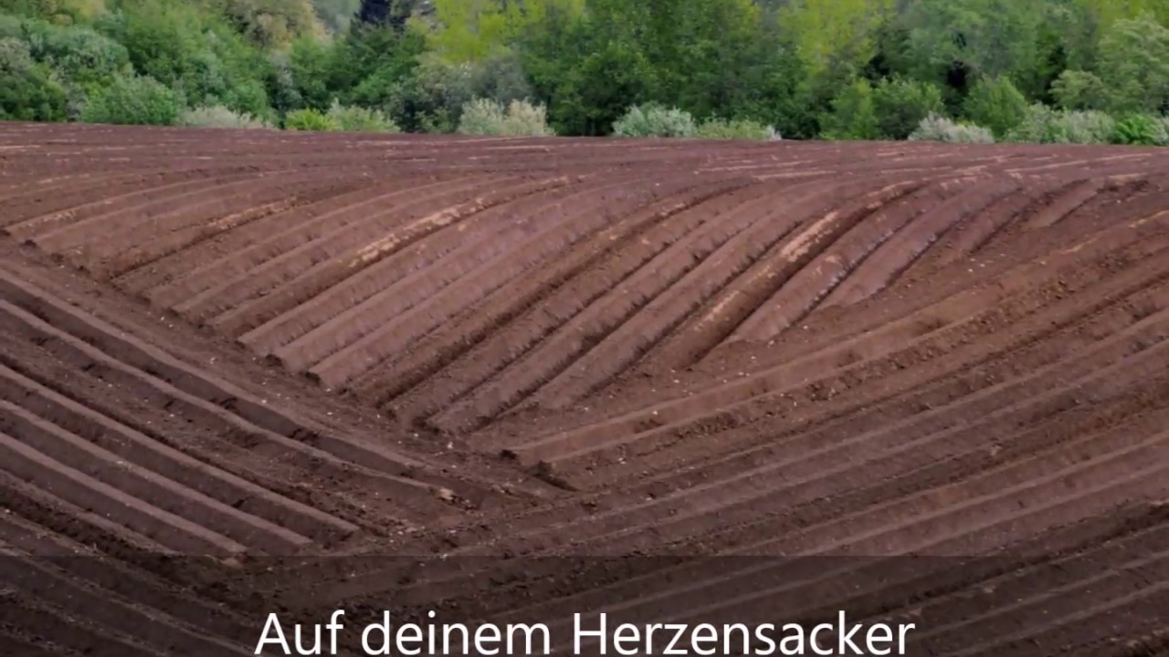 Auf deinem Herzensacker  --  NAK - NAC Jugendtag 1981 in Offenburg