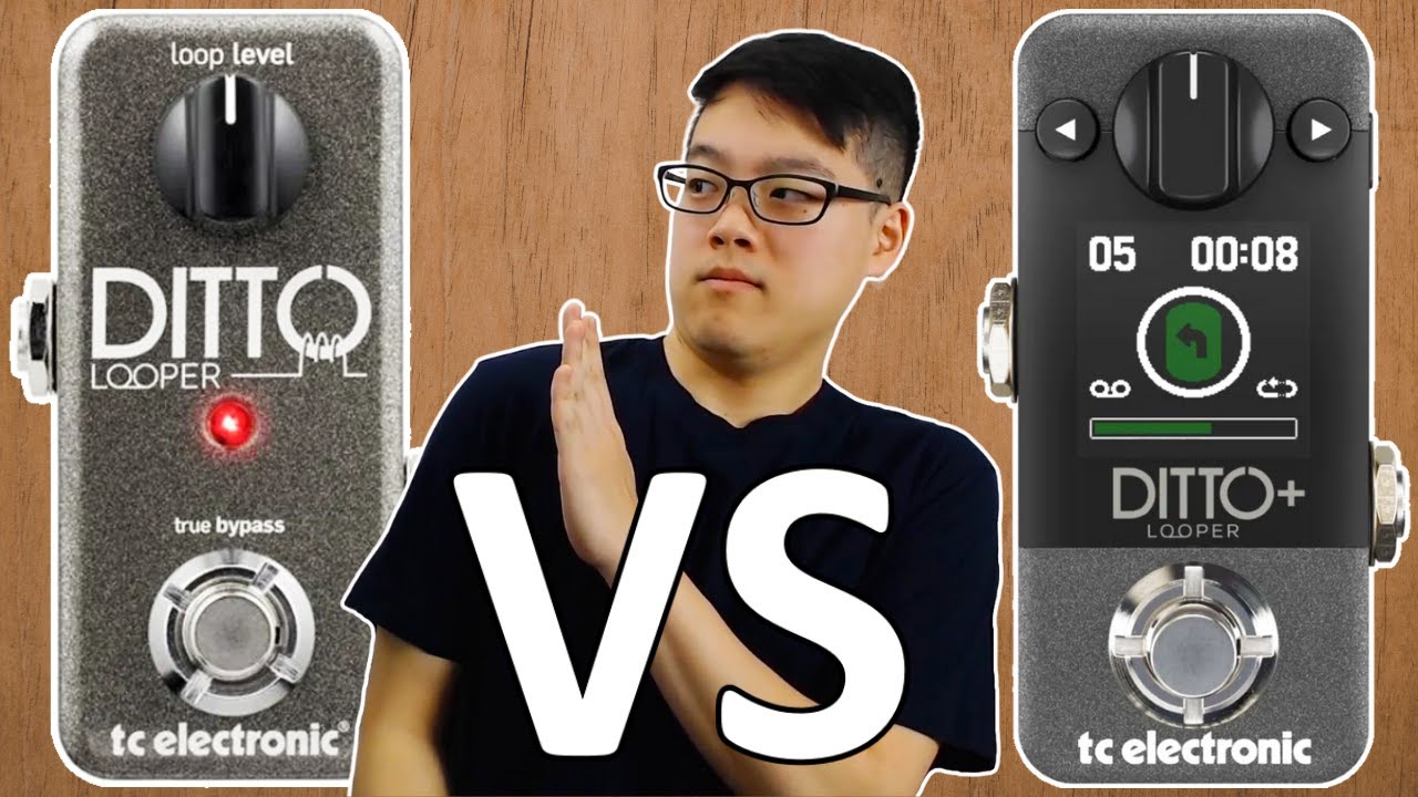 Ditto+ Looper: Comparison and First Impressions