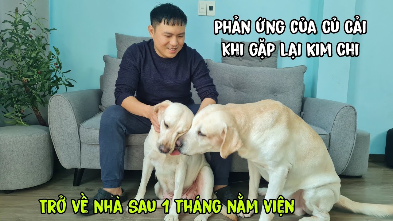 Trở về nhà sau 1 tháng nằm viện, phản ứng của Kim Chi khi gặp lại Củ Cải, Cà Rốt