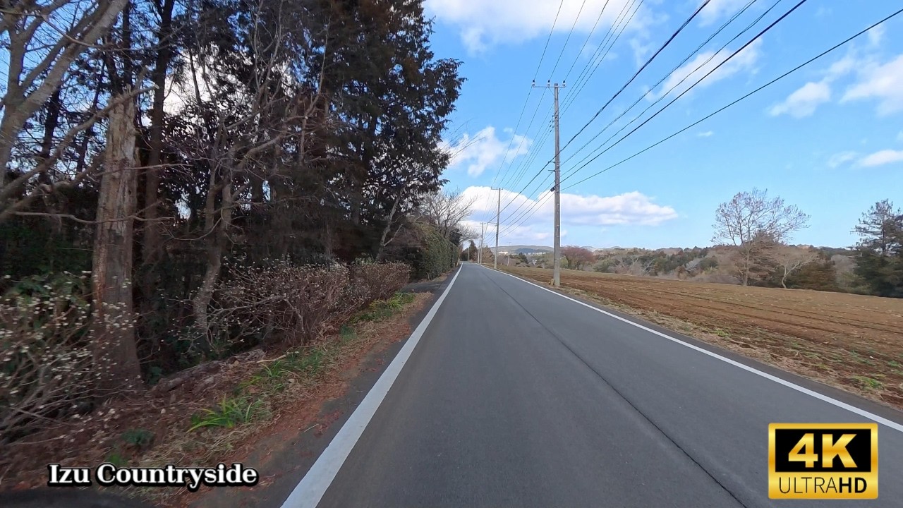 4K Silent Winter Road in Japan | Scenic Drive & Cycling in Izu Countryside/伊豆の田舎道