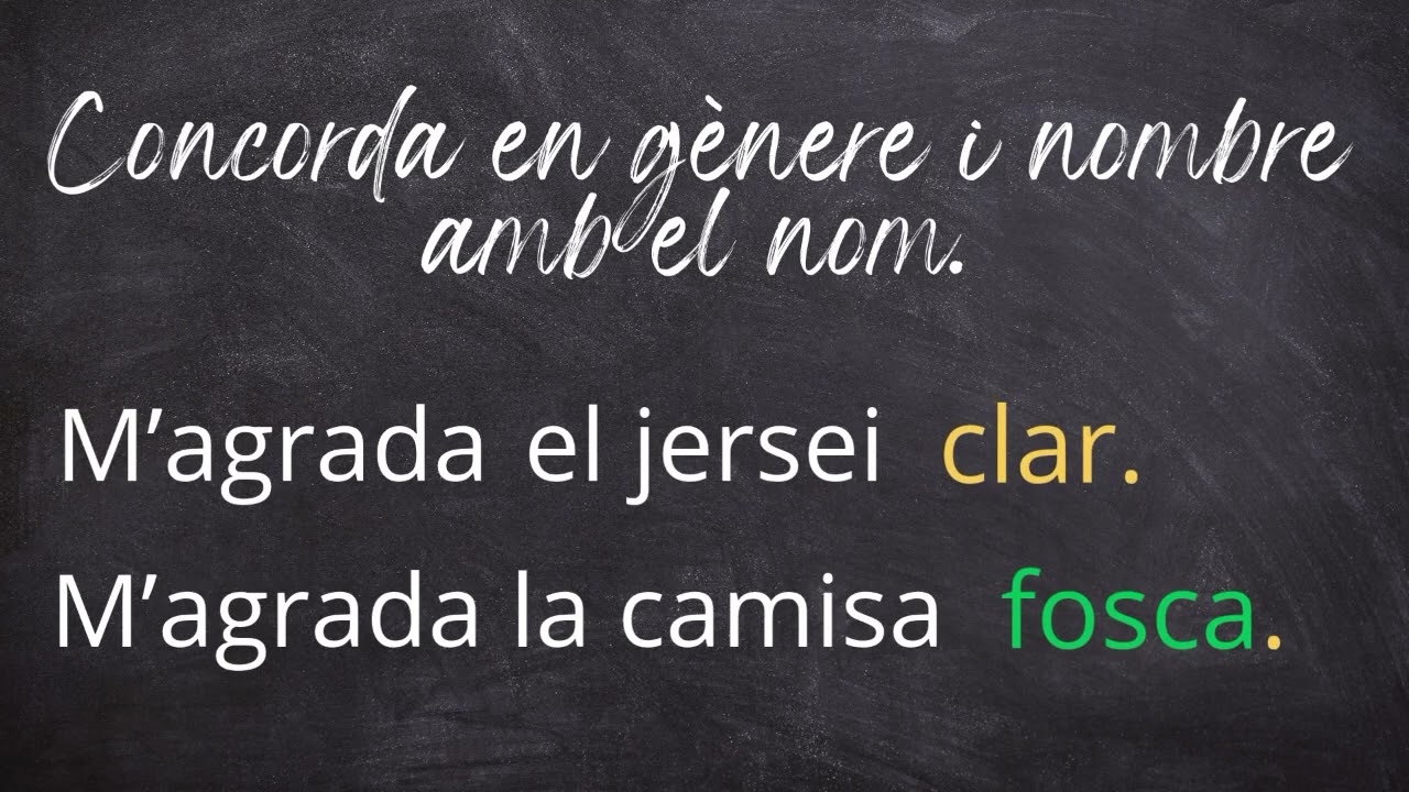 Adjectius bàsics en català.