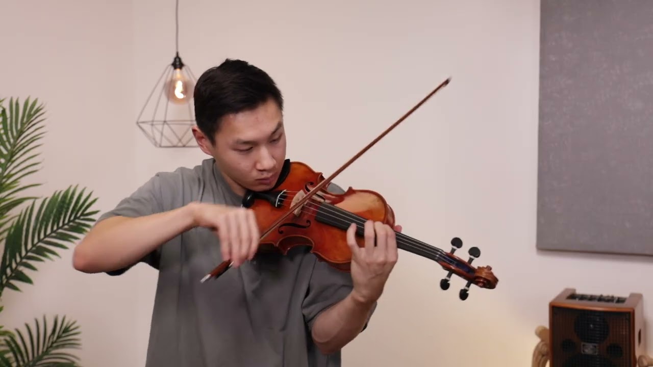 Holstein Workshop Soil, Cannone, & Kreisler Violin Comparison
