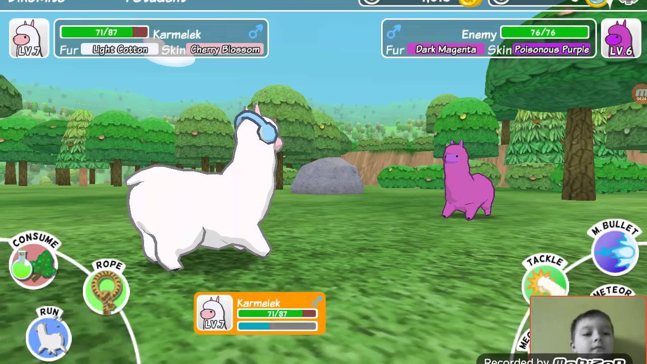 Alpaca World #3 Jaką Alpakę złapie Wy decydujecie