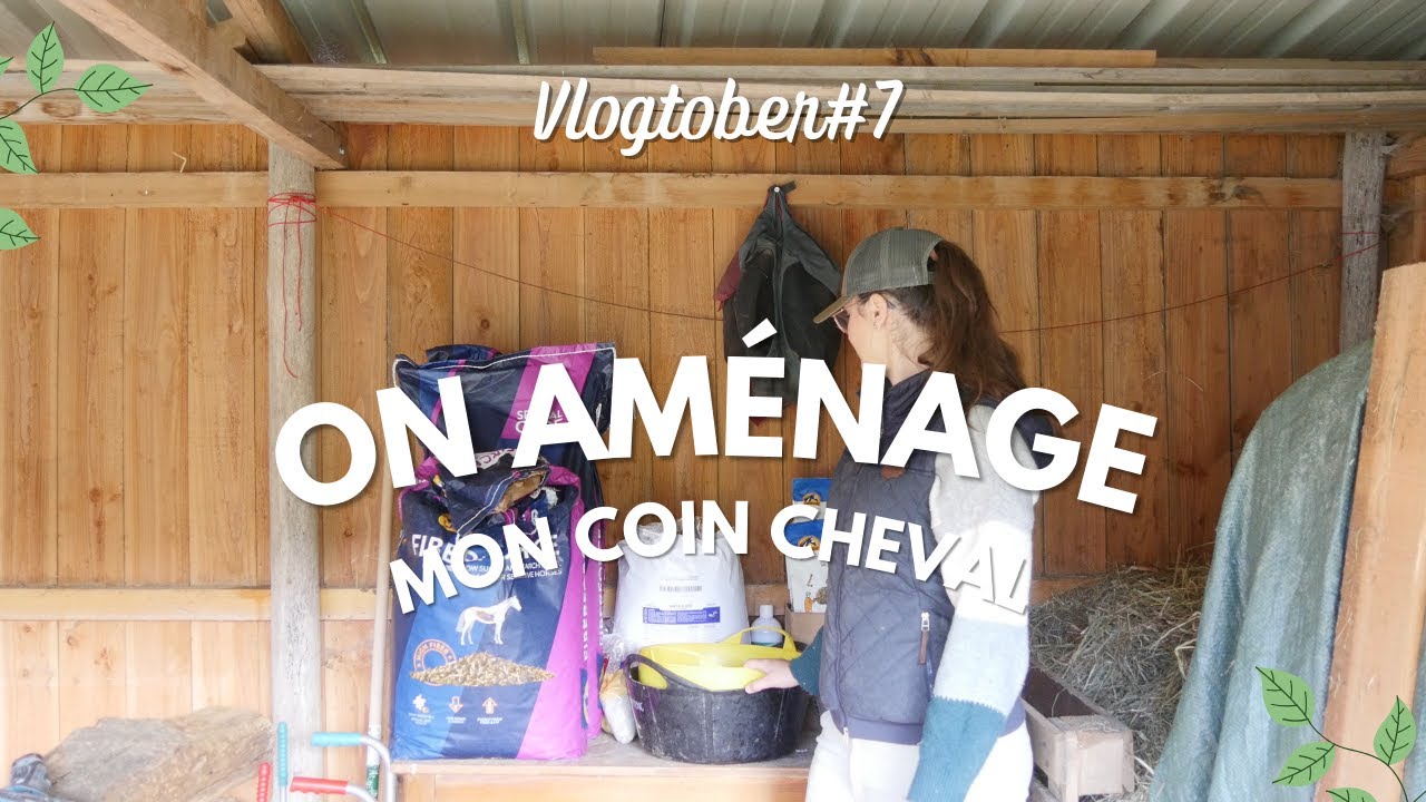 Vlogtober#7 - On aménage mon coin cheval
