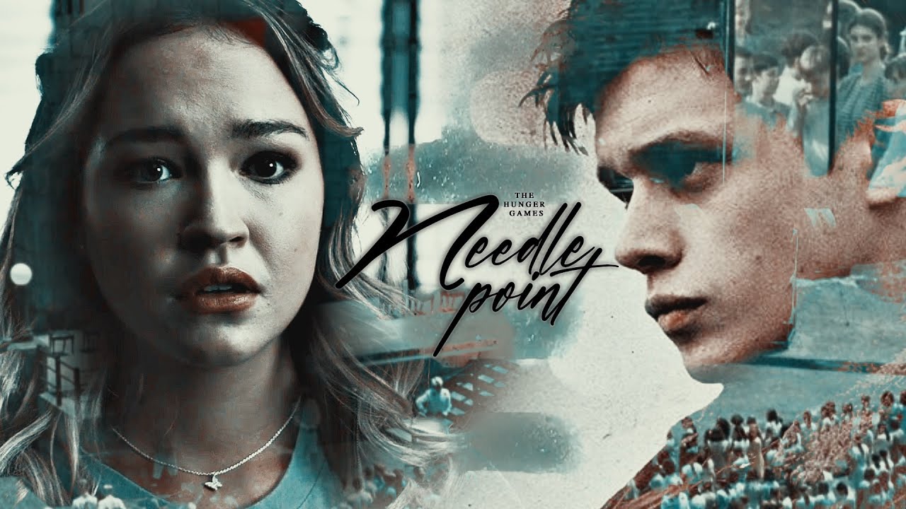 A Hunger Games AU | Needlepoint