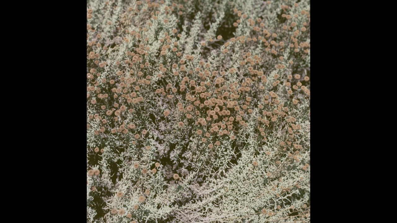 Loving - Simple Moon