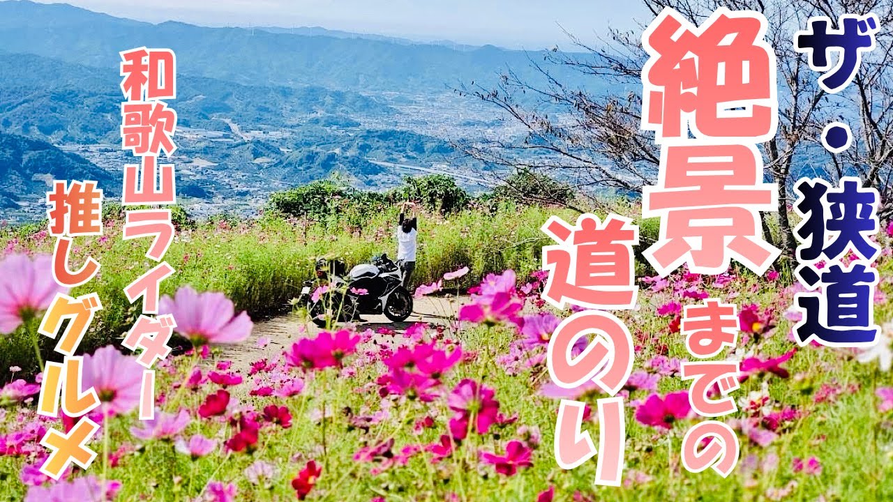 狭道の先の絶景スポット&古民家カフェのあんバター焼き団子&知る人ぞ知る讃岐うどんのお店が旨すぎた！！