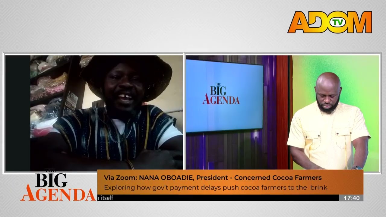 Cocoa Industry: Exploring how gov't payment delays push cocoa farmers to the brink - The Big Agenda