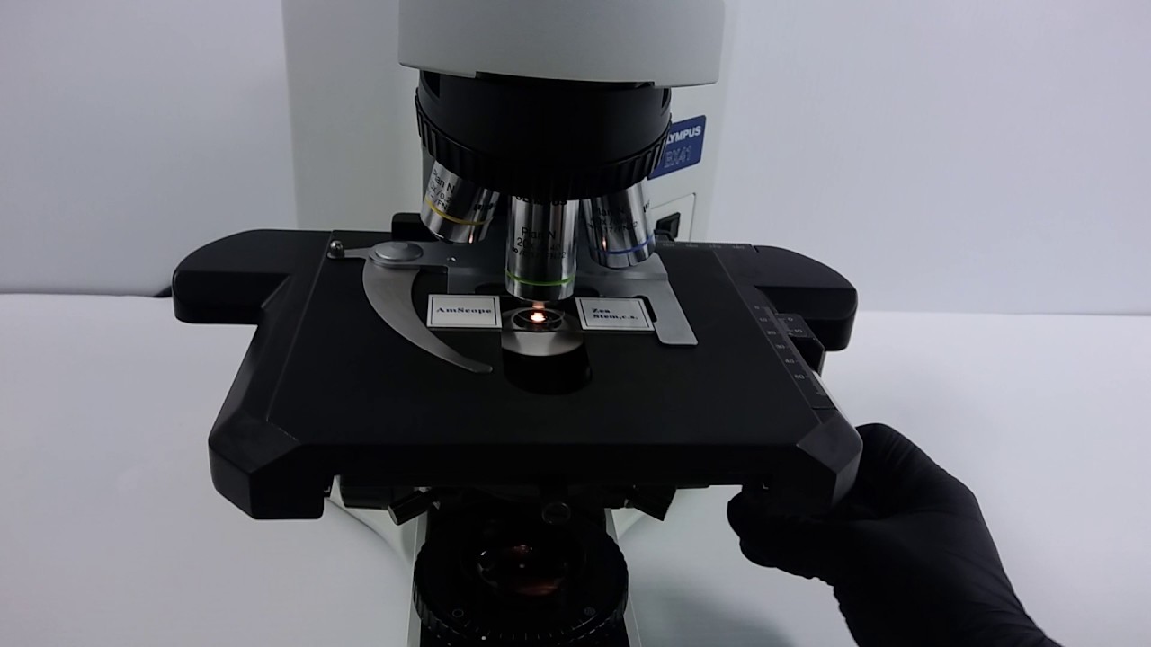 Olympus BX41 Microscope 4,10,20,40x Pred. BX43 - 11533