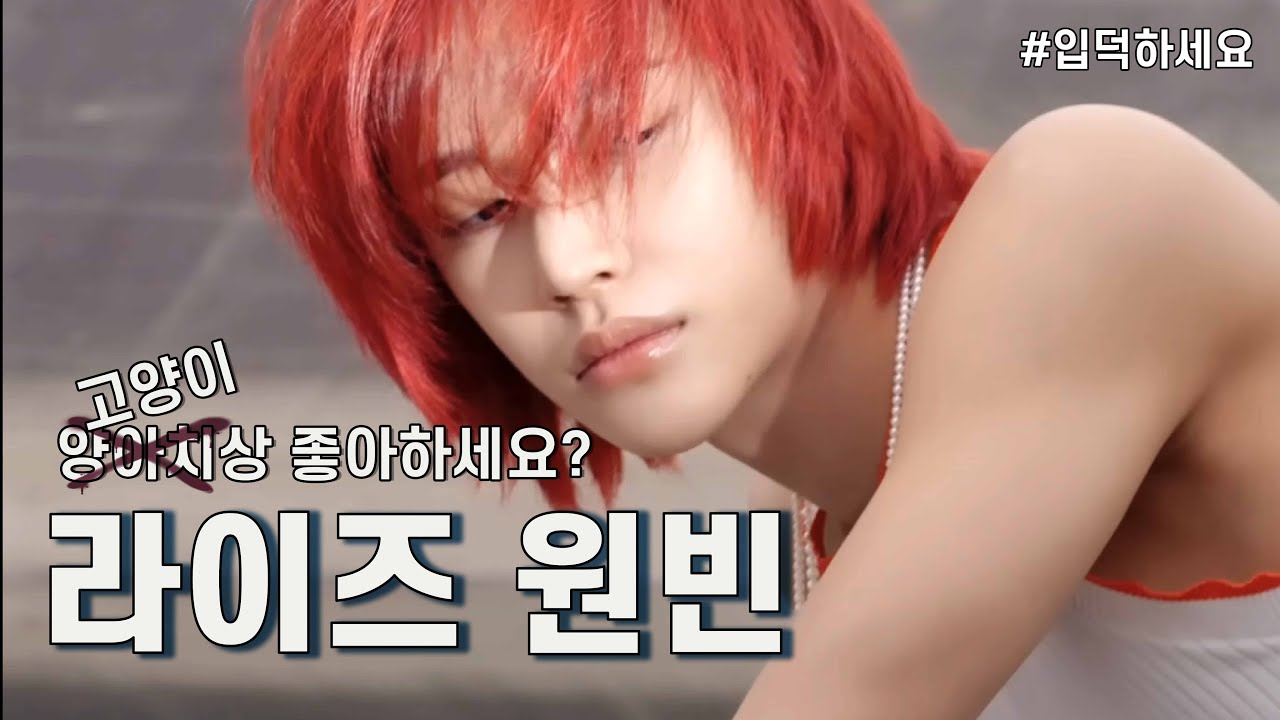 양아치상 좋아하세요? 그럼 박원빈 해보세요 (라이즈 원빈)