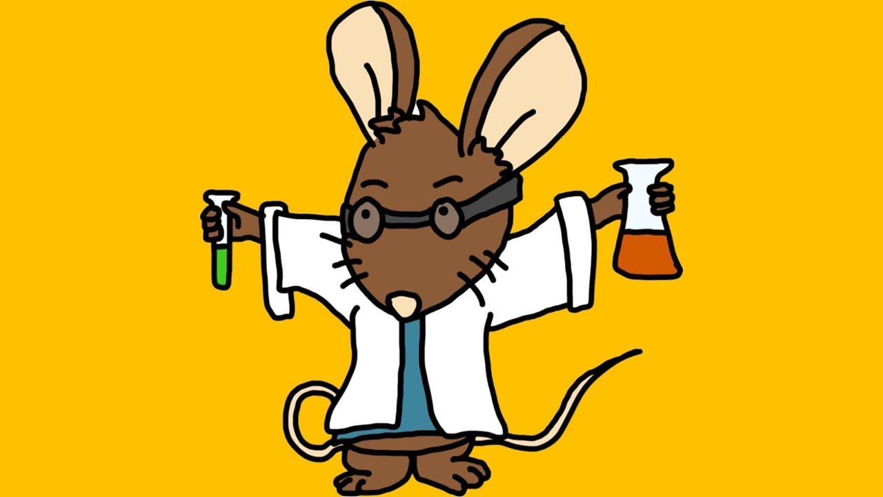 1-13-26, LRCL, Lesson 19, Unit 6, From Microorganisms to Plants, Protists and Fungi