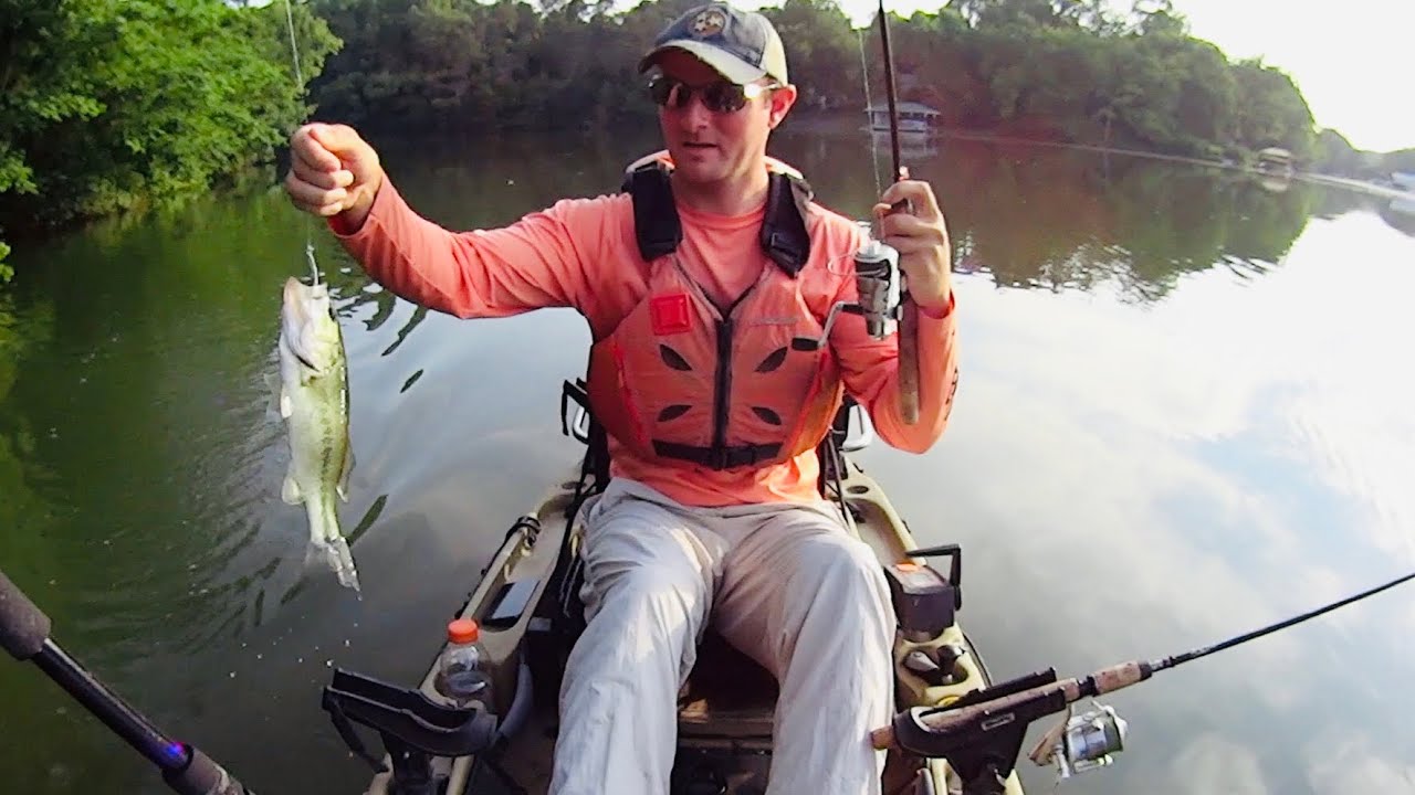 Simple Method to Catch Catfish Bait All Year Long