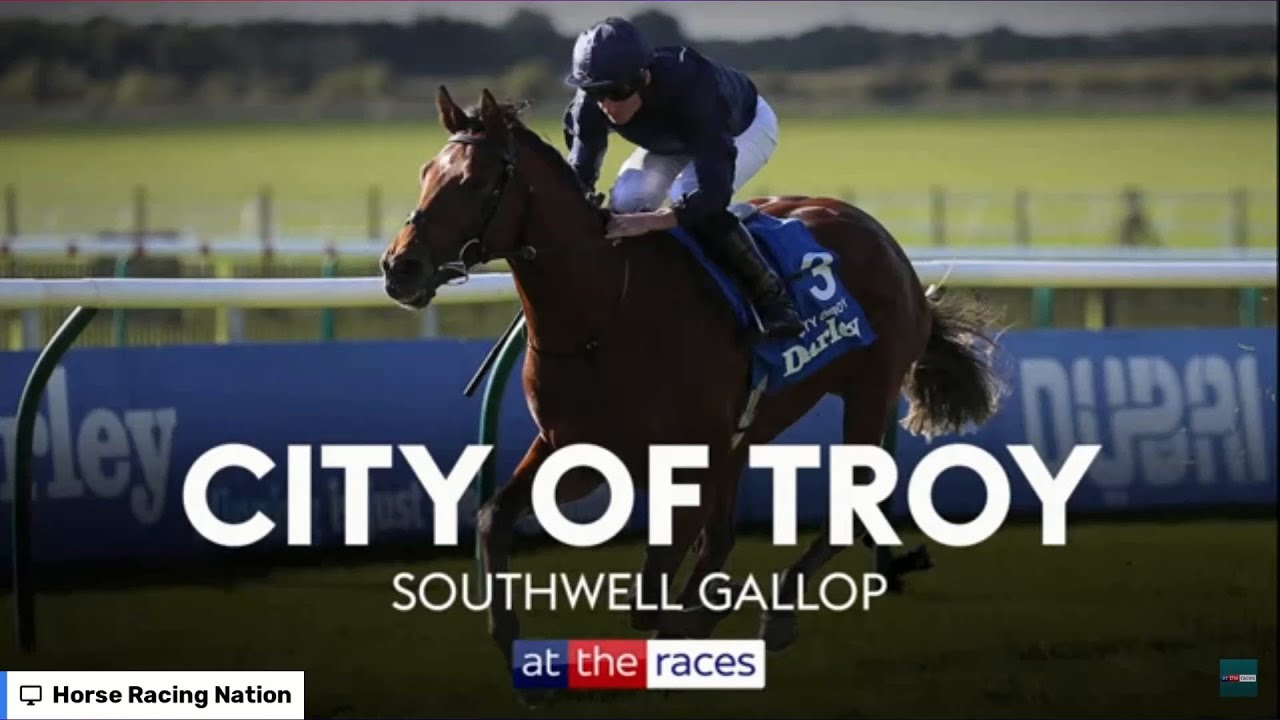 City of Troy prepares for the Breeders' Cup Classic at Southwell