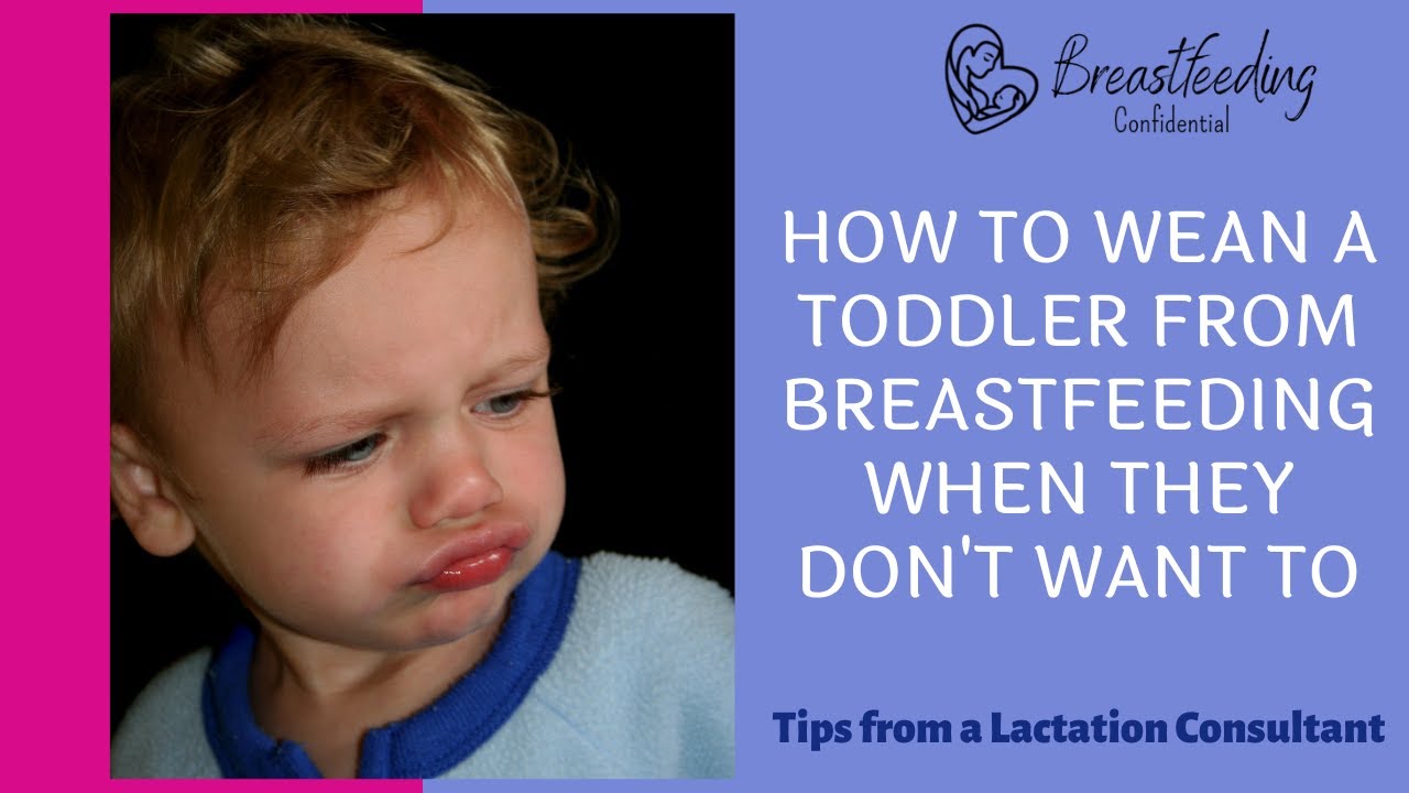 How To Wean A Toddler From Breastfeeding