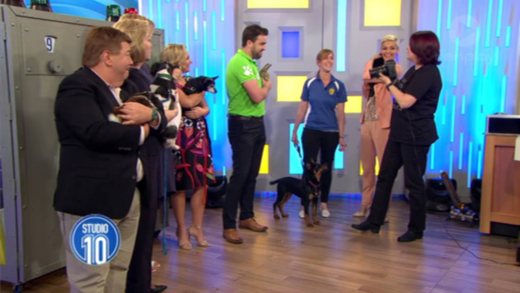 Tips On The Perfect Pet Pic