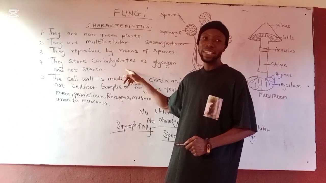 FUNGI (Characteristics of Living things)